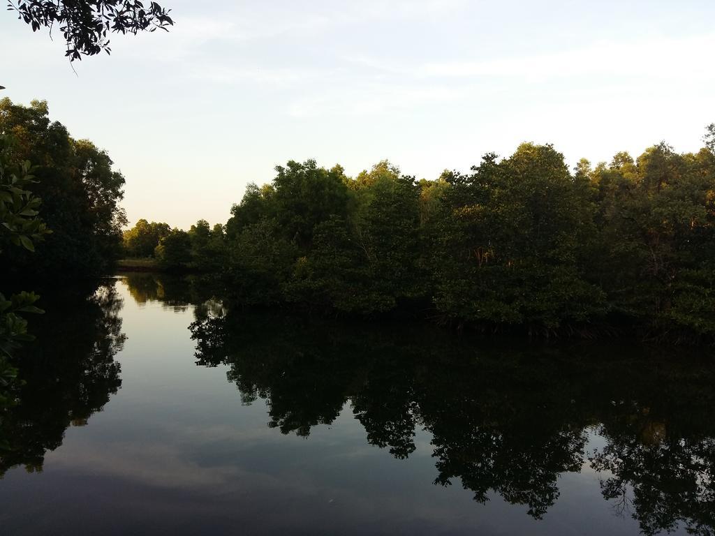 Mangroves&More @ Cambodia Sihanoukville Exterior foto