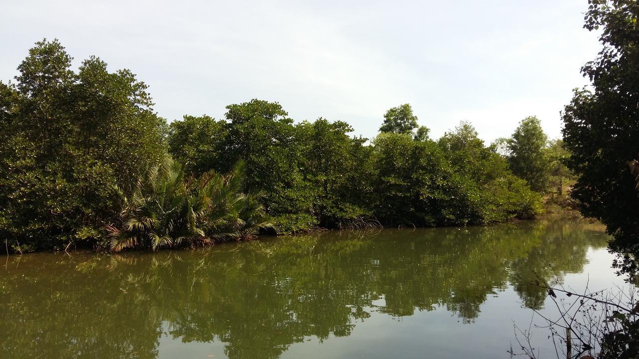 Mangroves&More @ Cambodia Sihanoukville Exterior foto
